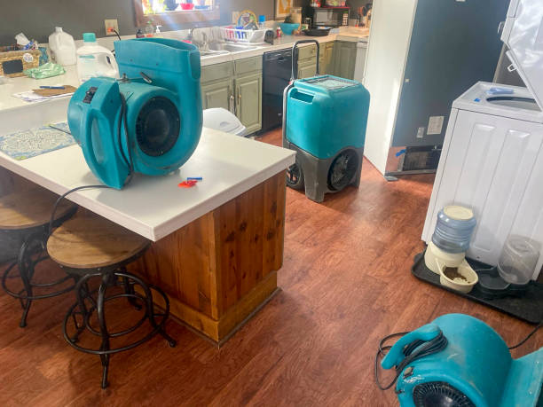 Best Water damage restoration near me  in El Sobrante, CA