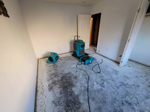 Best Water damage cleanup near me  in El Sobrante, CA