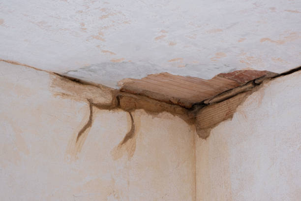 Best Water damage cleanup near me  in El Sobrante, CA