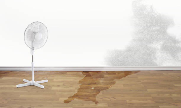Best Fire Damage Restoration  in El Sobrante, CA