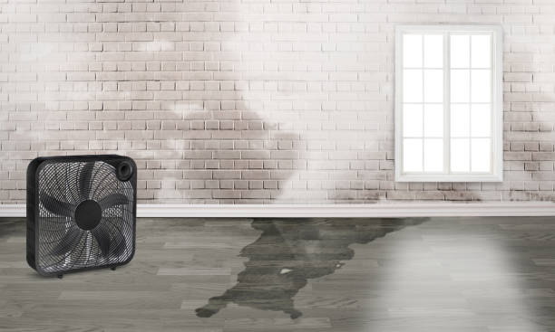 Best 24/7 water damage repair  in El Sobrante, CA