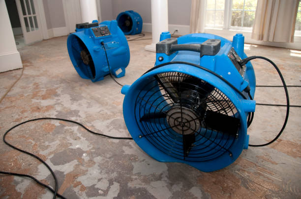 Best Residential water damage restoration  in El Sobrante, CA