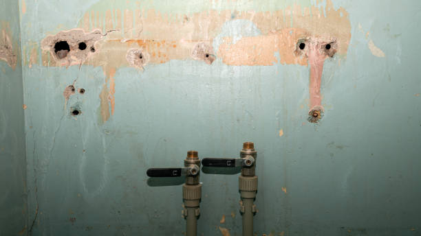 Best Water damage restoration near me  in El Sobrante, CA